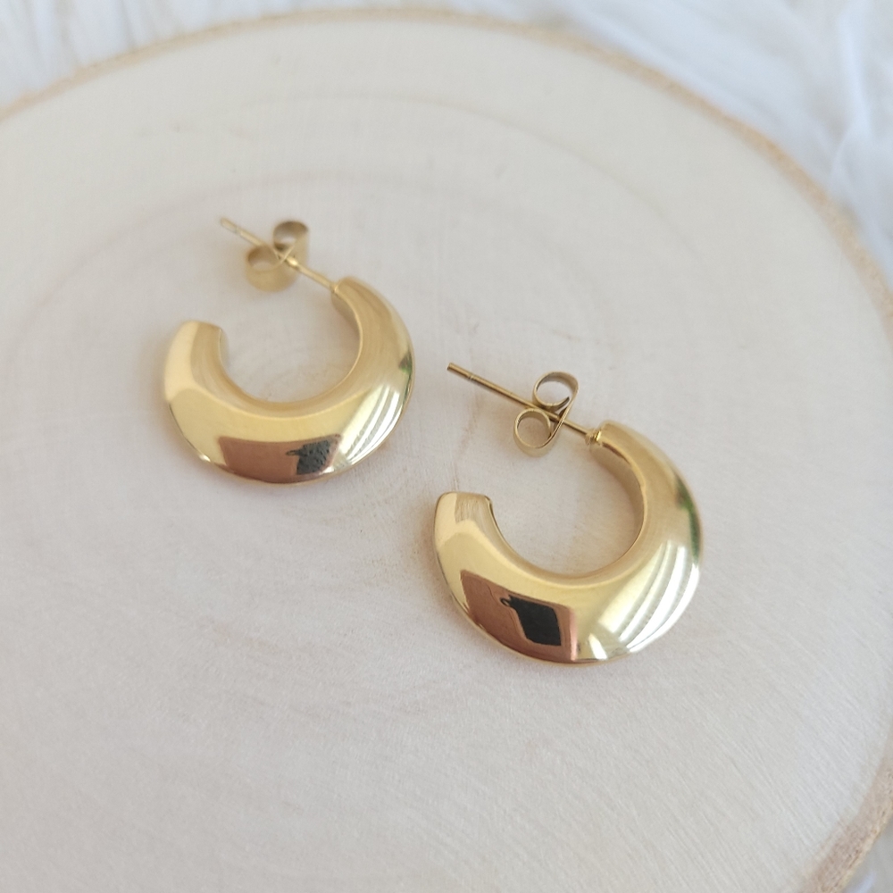 Tiny Hoops Earrings